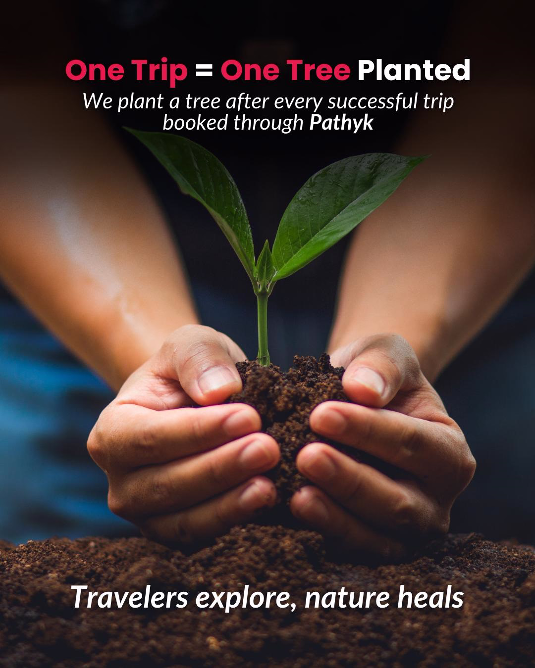 Book Now